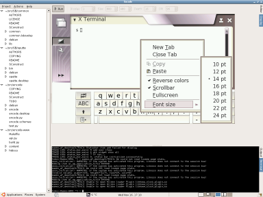 Xephyr screenshot